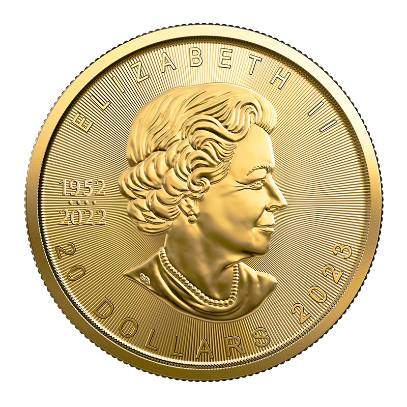 Buy 1/2 oz Gold Maple Leaf Coin (2023) Price in Canada TD Precious